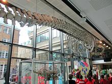 2K Child-Led Learning Trip to the Cambridge Zoology Museum 2022
